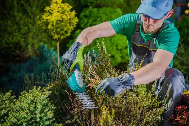 landscaping services Hazel